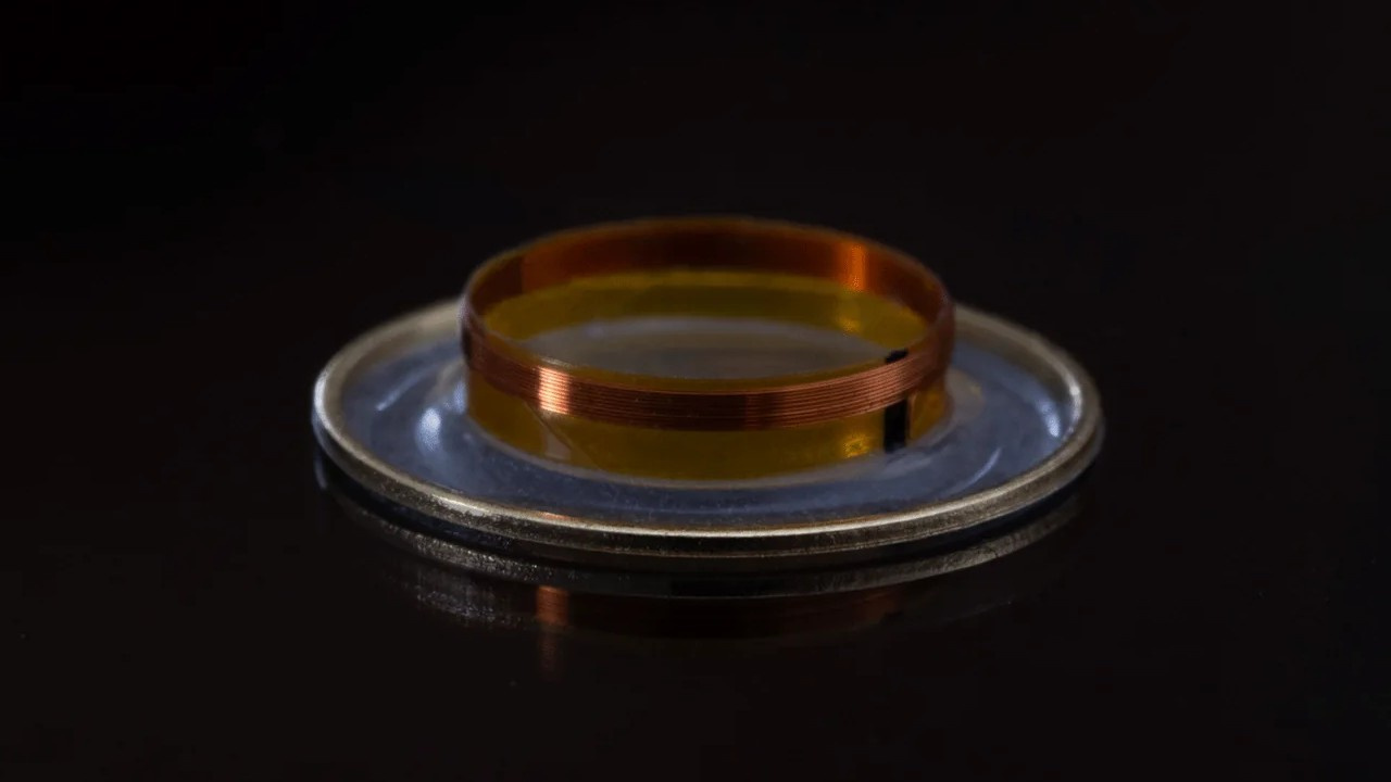 Driver (loudspeaker) of the Final A10000 in-ear monitor.