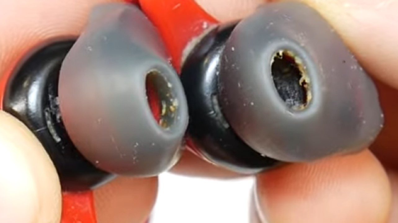Foto de ear tips (ponteiras, borrachinhas) de fones de ouvido in-ear sujas.
