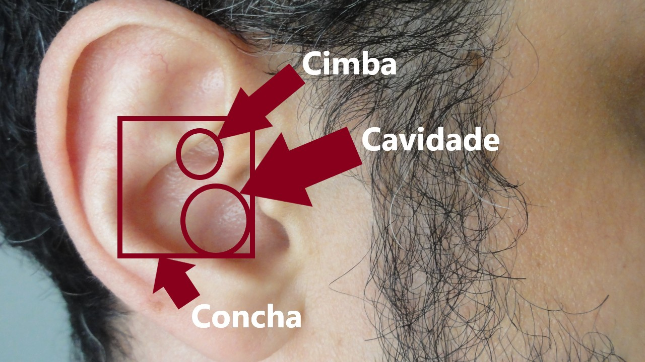 Concha do pavilhão auditivo de um ouvido humano.